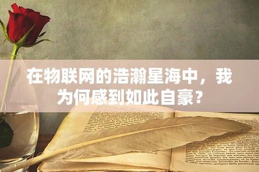 在物联网的浩瀚星海中，我为何感到如此自豪？