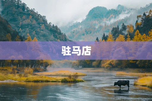 驻马店