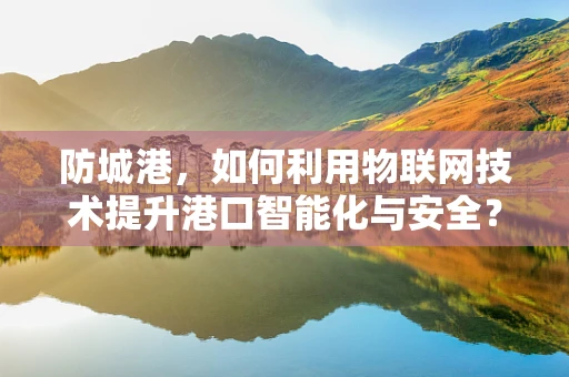 防城港，如何利用物联网技术提升港口智能化与安全？