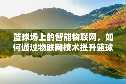 篮球场上的智能物联网，如何通过物联网技术提升篮球训练与比赛体验？