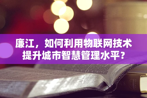 廉江，如何利用物联网技术提升城市智慧管理水平？