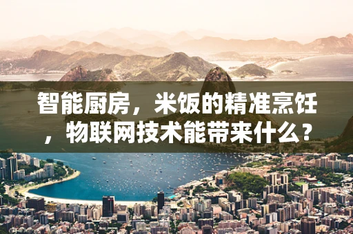 智能厨房，米饭的精准烹饪，物联网技术能带来什么？