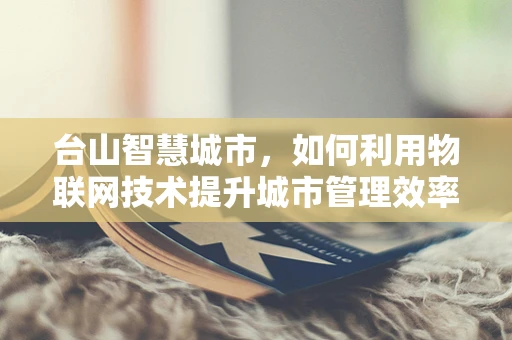 台山智慧城市，如何利用物联网技术提升城市管理效率？