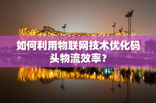 如何利用物联网技术优化码头物流效率？