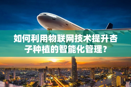 如何利用物联网技术提升杏子种植的智能化管理？