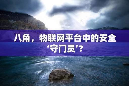八角，物联网平台中的安全‘守门员’？