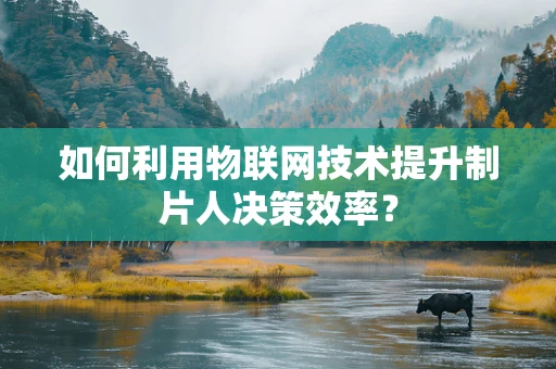 如何利用物联网技术提升制片人决策效率？
