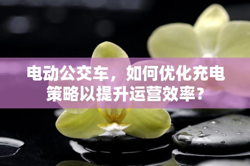 电动公交车，如何优化充电策略以提升运营效率？