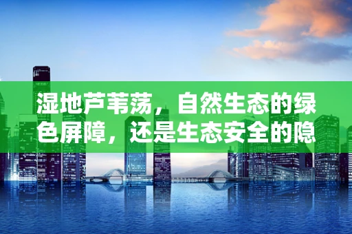 湿地芦苇荡，自然生态的绿色屏障，还是生态安全的隐形威胁？