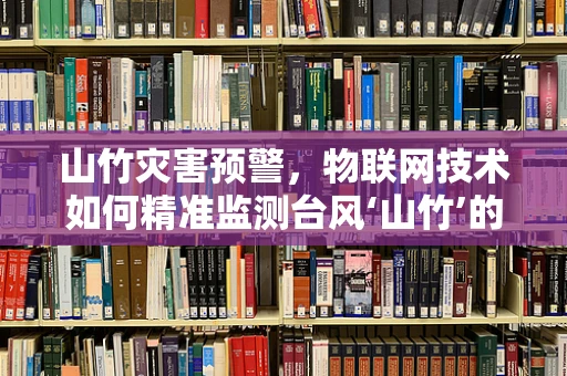 山竹灾害预警，物联网技术如何精准监测台风‘山竹’的威胁？
