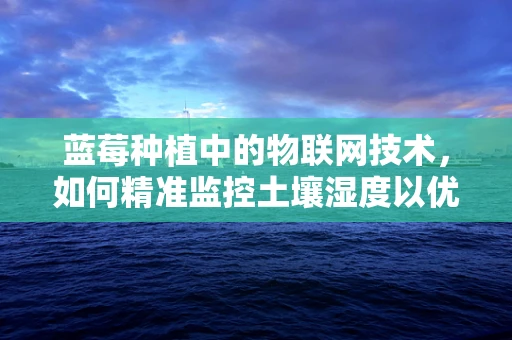 蓝莓种植中的物联网技术，如何精准监控土壤湿度以优化生长环境？