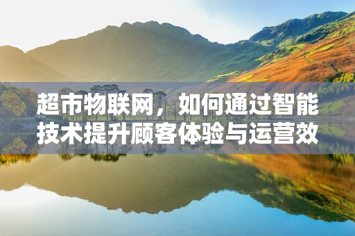 超市物联网，如何通过智能技术提升顾客体验与运营效率？