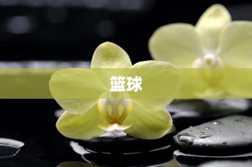 篮球