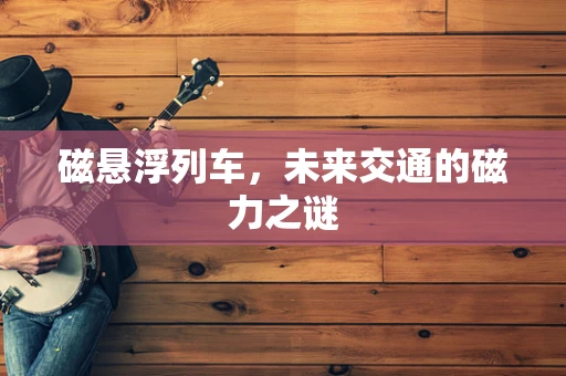 磁悬浮列车，未来交通的磁力之谜