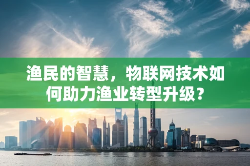 渔民的智慧，物联网技术如何助力渔业转型升级？