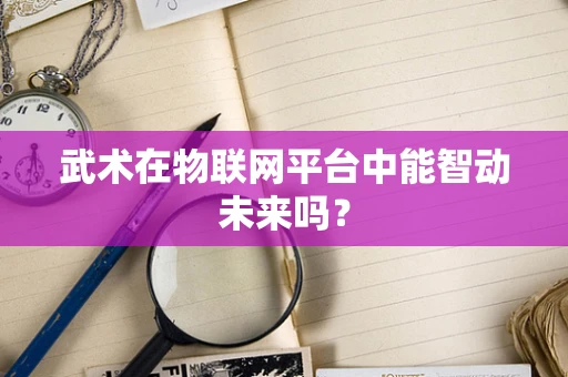 武术在物联网平台中能智动未来吗？