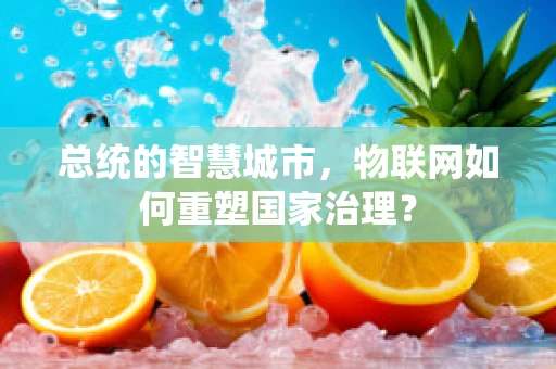 总统的智慧城市，物联网如何重塑国家治理？