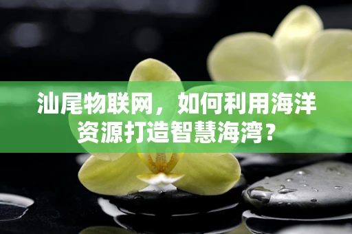 汕尾物联网，如何利用海洋资源打造智慧海湾？