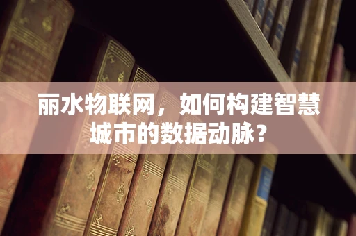 丽水物联网，如何构建智慧城市的数据动脉？