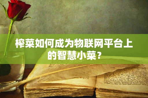 榨菜如何成为物联网平台上的智慧小菜？