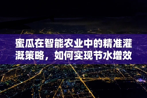 蜜瓜在智能农业中的精准灌溉策略，如何实现节水增效？