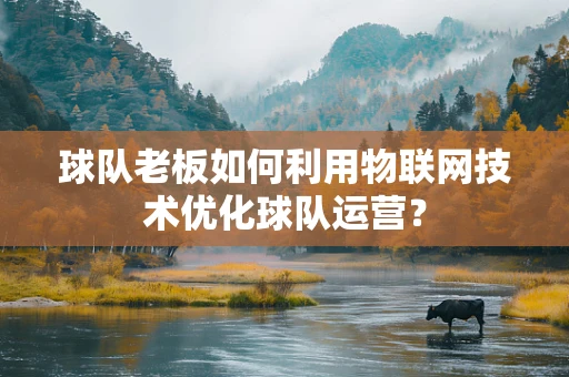 球队老板如何利用物联网技术优化球队运营？