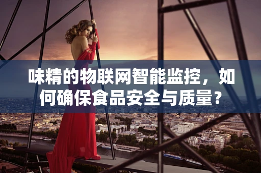 味精的物联网智能监控，如何确保食品安全与质量？