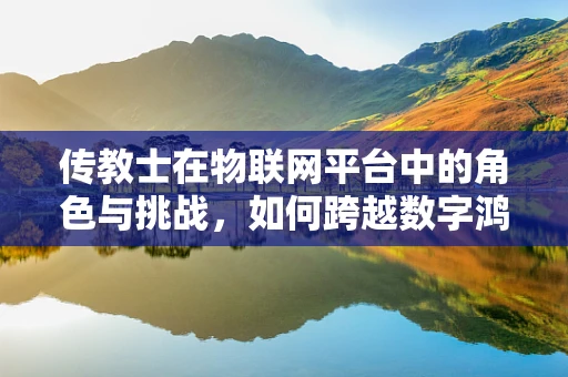 传教士在物联网平台中的角色与挑战，如何跨越数字鸿沟？