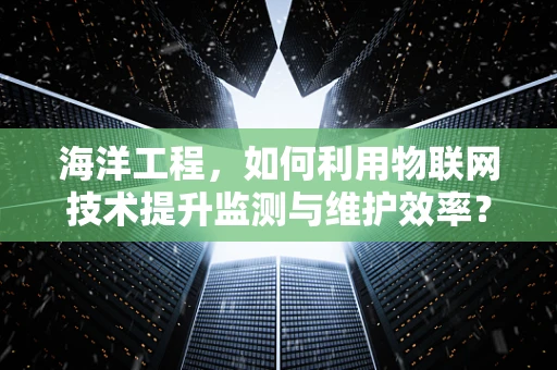 海洋工程，如何利用物联网技术提升监测与维护效率？