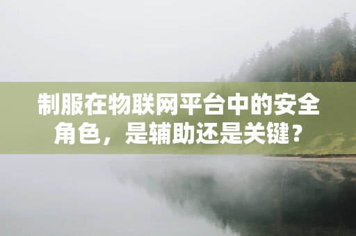 制服在物联网平台中的安全角色，是辅助还是关键？