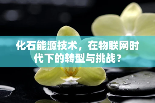 化石能源技术，在物联网时代下的转型与挑战？