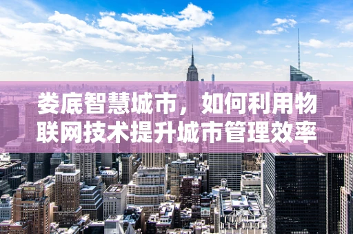 娄底智慧城市，如何利用物联网技术提升城市管理效率？