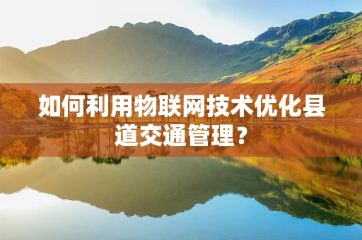 如何利用物联网技术优化县道交通管理？