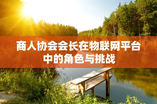 商人协会会长在物联网平台中的角色与挑战