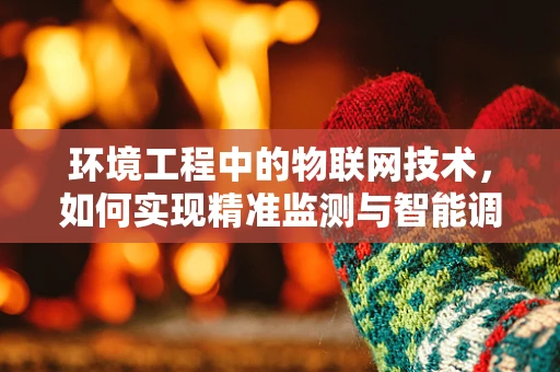 环境工程中的物联网技术，如何实现精准监测与智能调控？