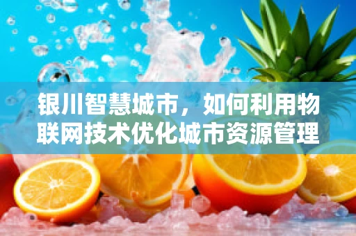 银川智慧城市，如何利用物联网技术优化城市资源管理？