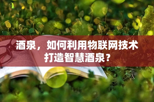 酒泉，如何利用物联网技术打造智慧酒泉？