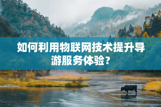 如何利用物联网技术提升导游服务体验？