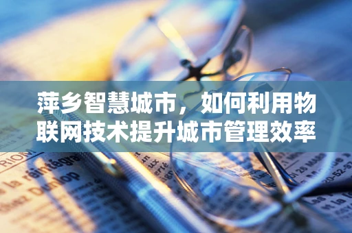 萍乡智慧城市，如何利用物联网技术提升城市管理效率？