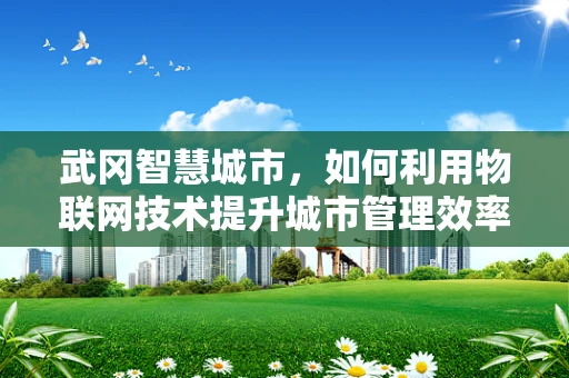 武冈智慧城市，如何利用物联网技术提升城市管理效率？