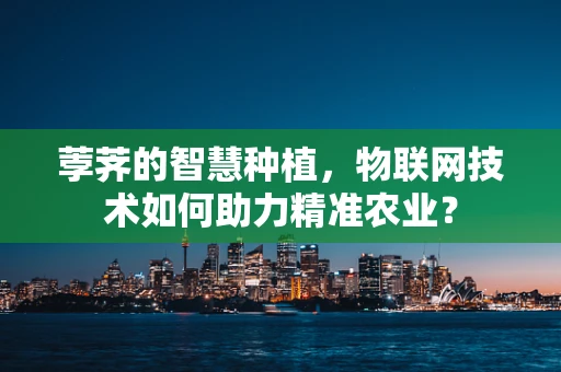 荸荠的智慧种植，物联网技术如何助力精准农业？