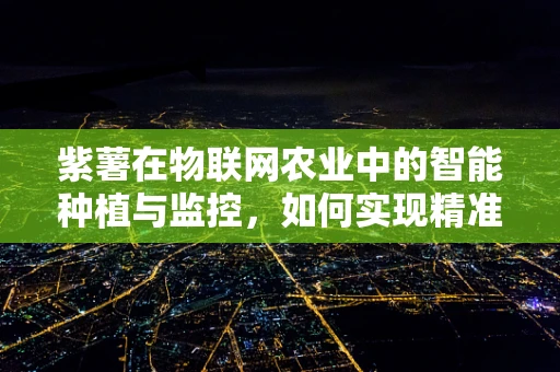紫薯在物联网农业中的智能种植与监控，如何实现精准管理？