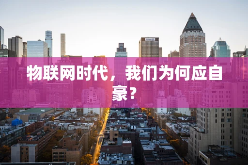 物联网时代，我们为何应自豪？