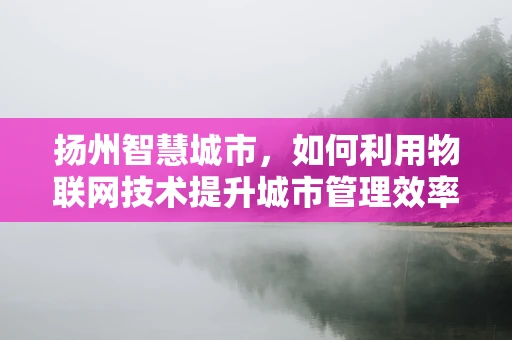 扬州智慧城市，如何利用物联网技术提升城市管理效率？