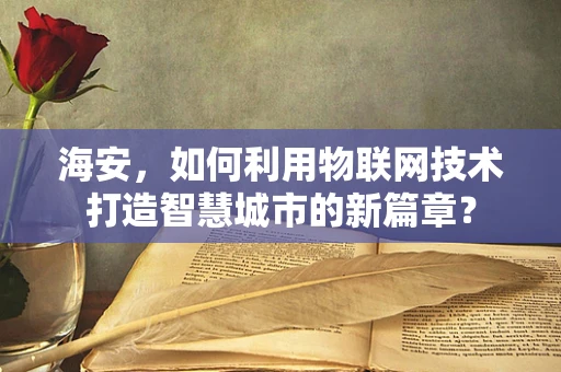 海安，如何利用物联网技术打造智慧城市的新篇章？
