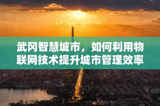 武冈智慧城市，如何利用物联网技术提升城市管理效率？
