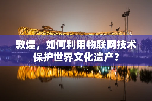 敦煌，如何利用物联网技术保护世界文化遗产？