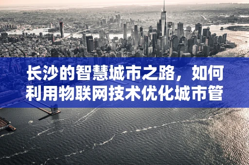 长沙的智慧城市之路，如何利用物联网技术优化城市管理？