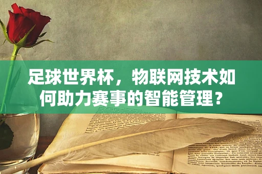 足球世界杯，物联网技术如何助力赛事的智能管理？