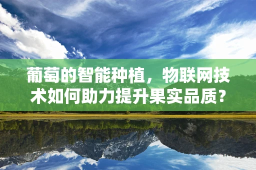 葡萄的智能种植，物联网技术如何助力提升果实品质？